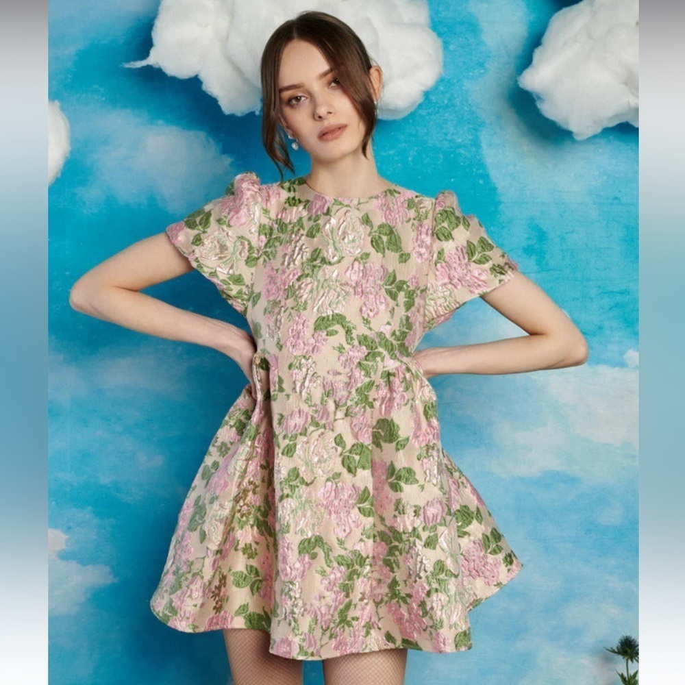 Sister Jane puff sleeve metallic mini dress in floral XS NWT